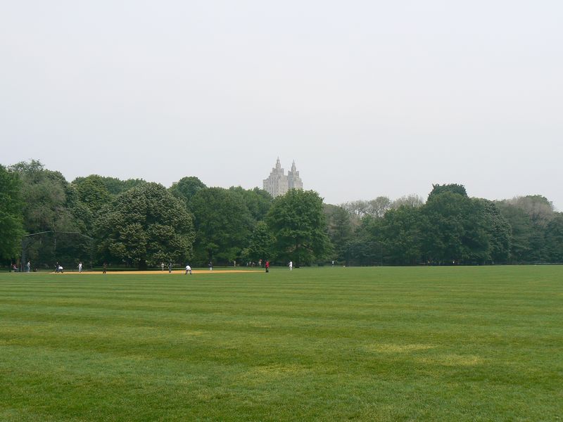 Central Park et autour: Great Lawn 3